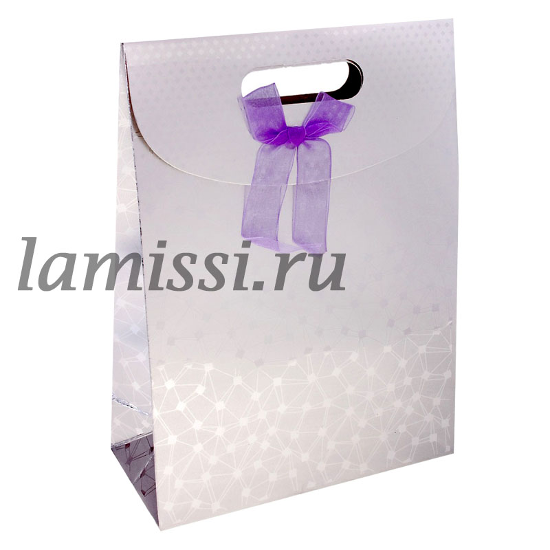 648844 Коробка-пакет M "Паутина серебро" ― Ламисси. Магазин подарков